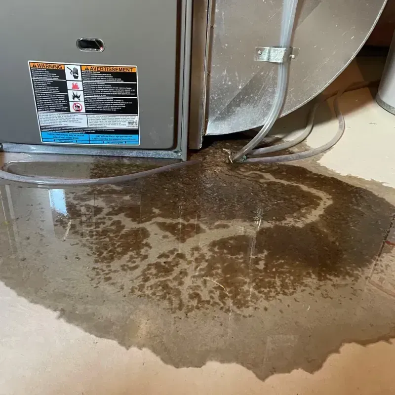 Appliance Leak Cleanup in Hood River County, OR